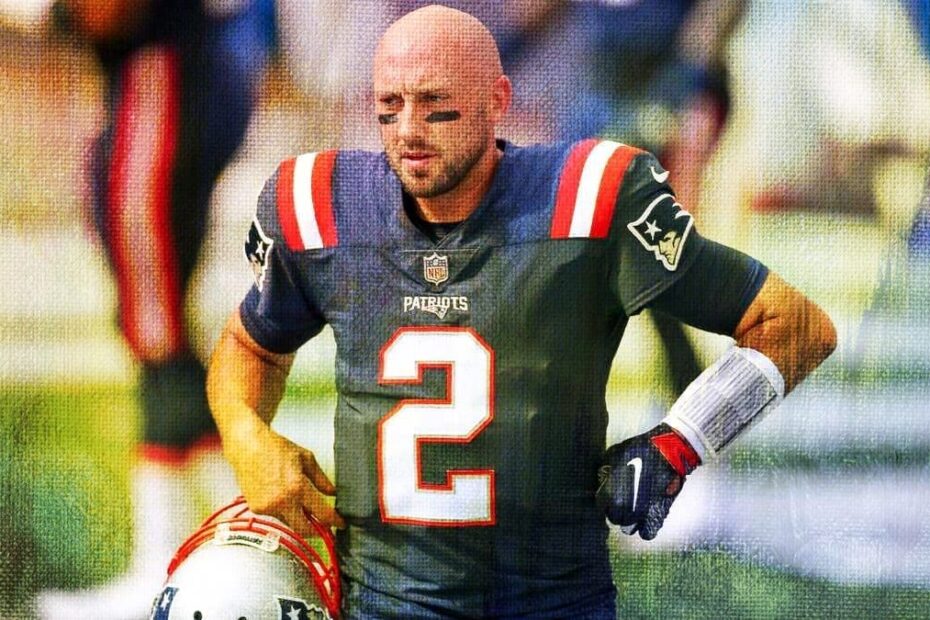 Brian Hoyer Stats