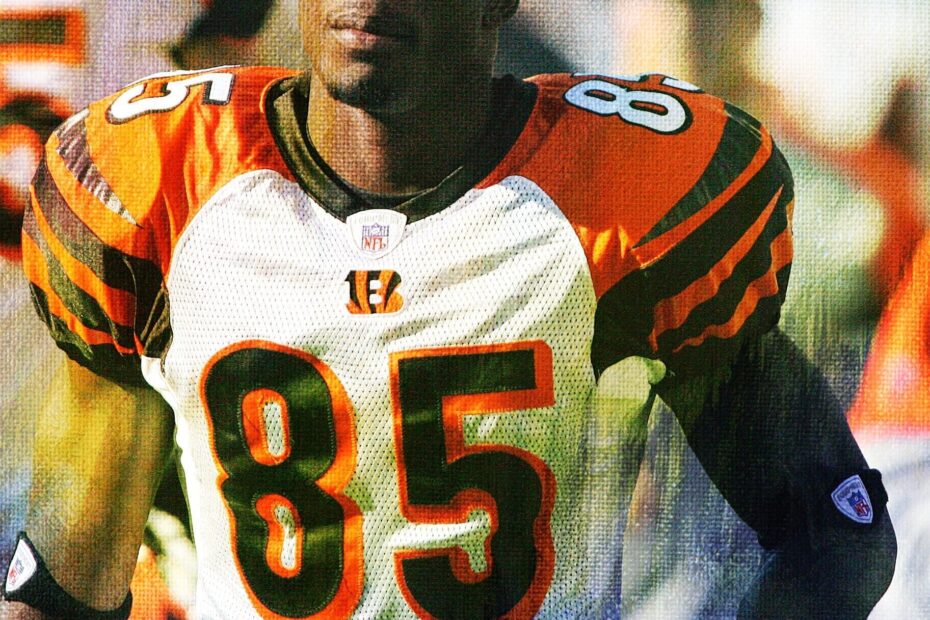 Chad Johnson Stats