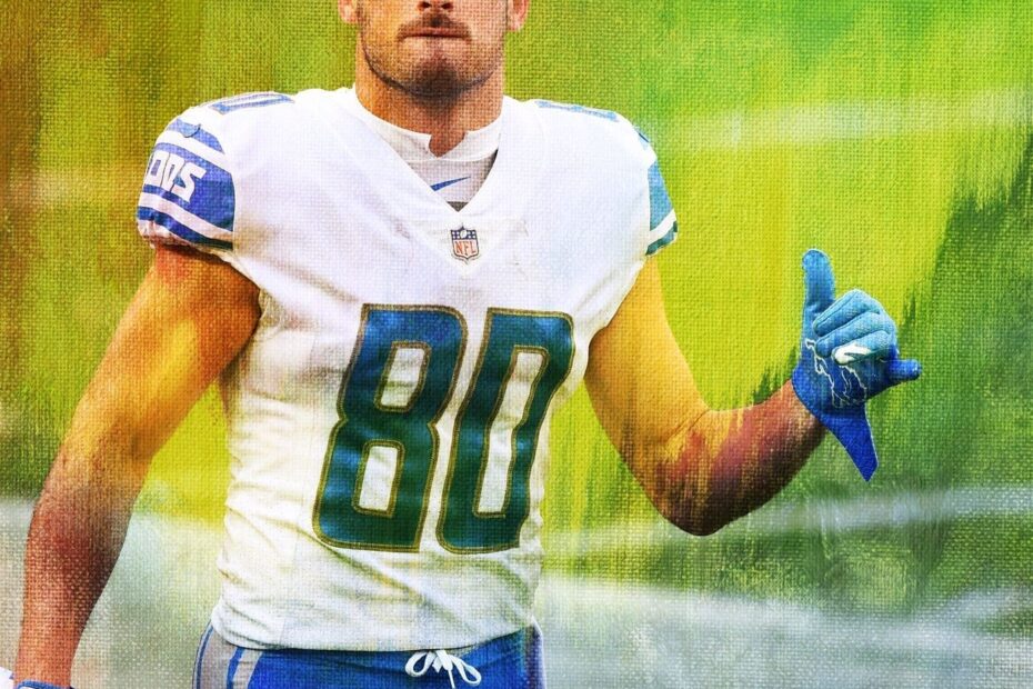 Danny Amendola Stats