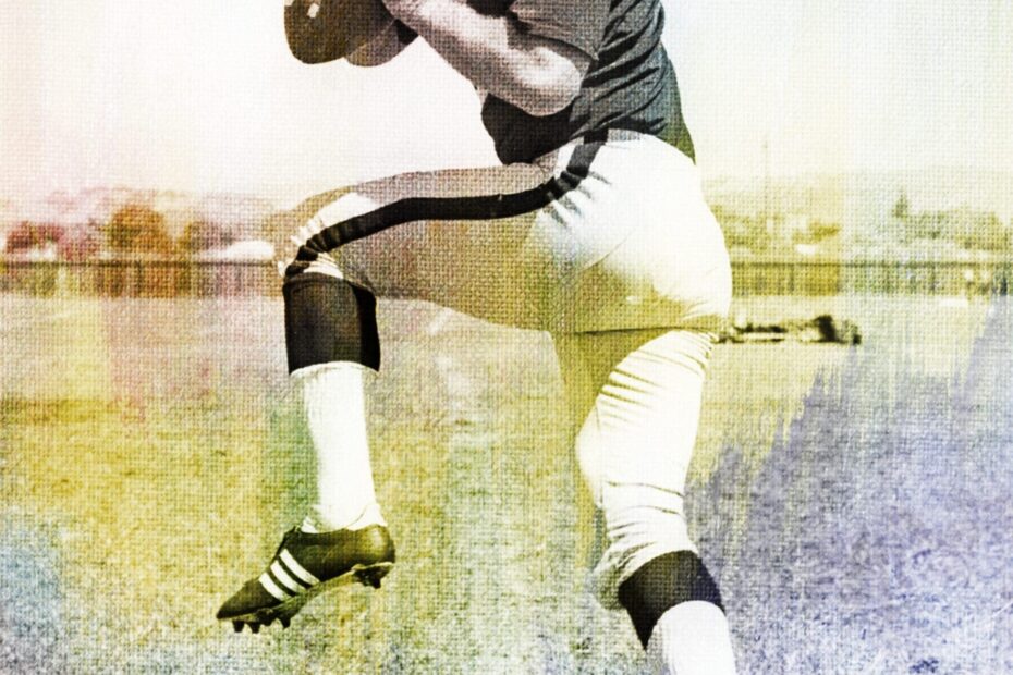 Daryle Lamonica Stats