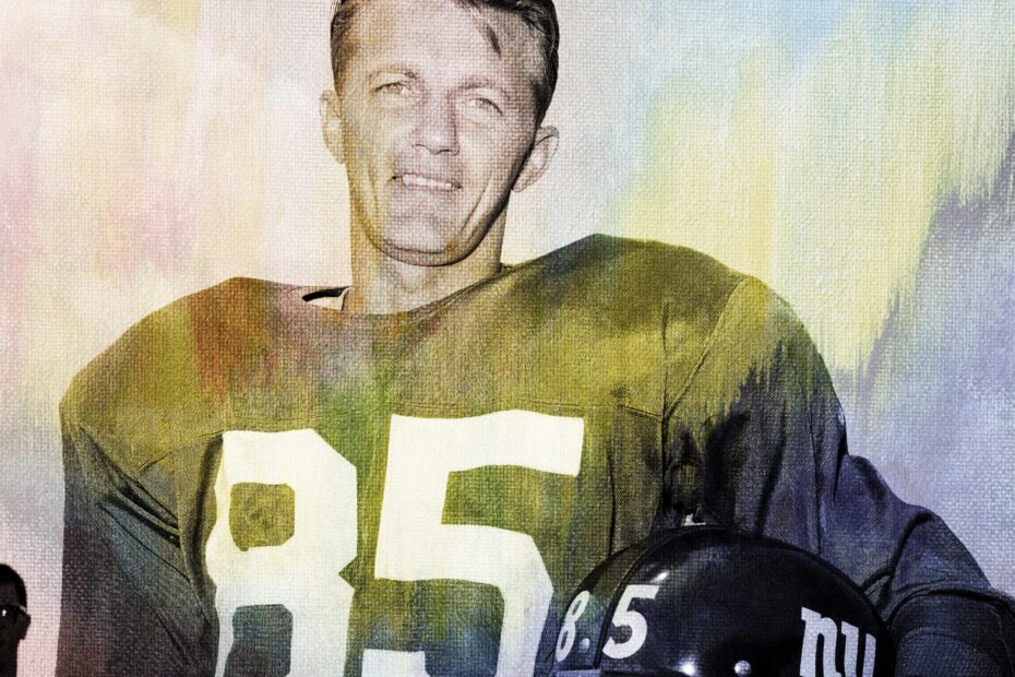 Del Shofner Stats