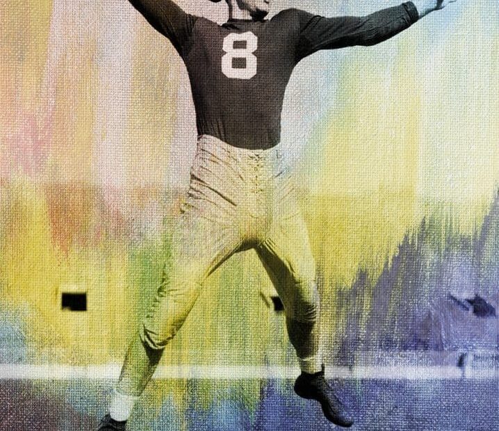 Frank Tripucka Stats
