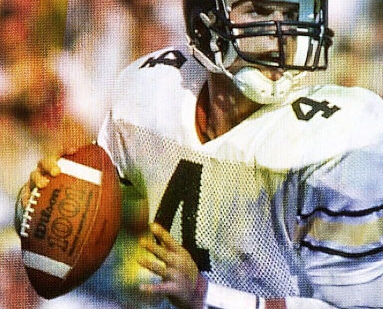 Jim Harbaugh Stats