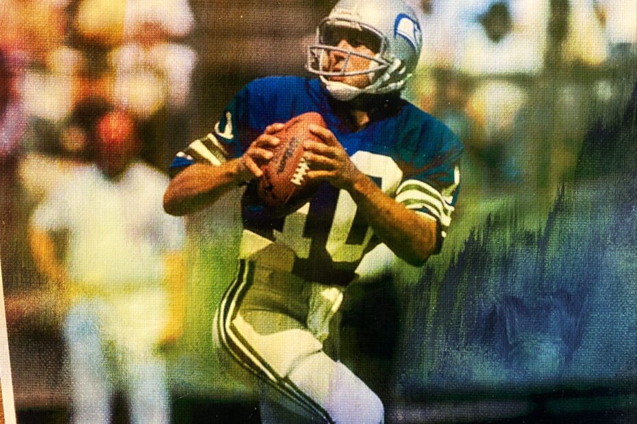 Jim Zorn Stats