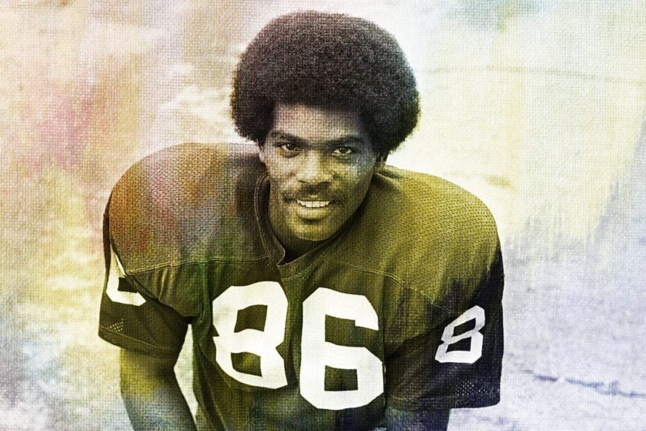 Marlin Briscoe Stats