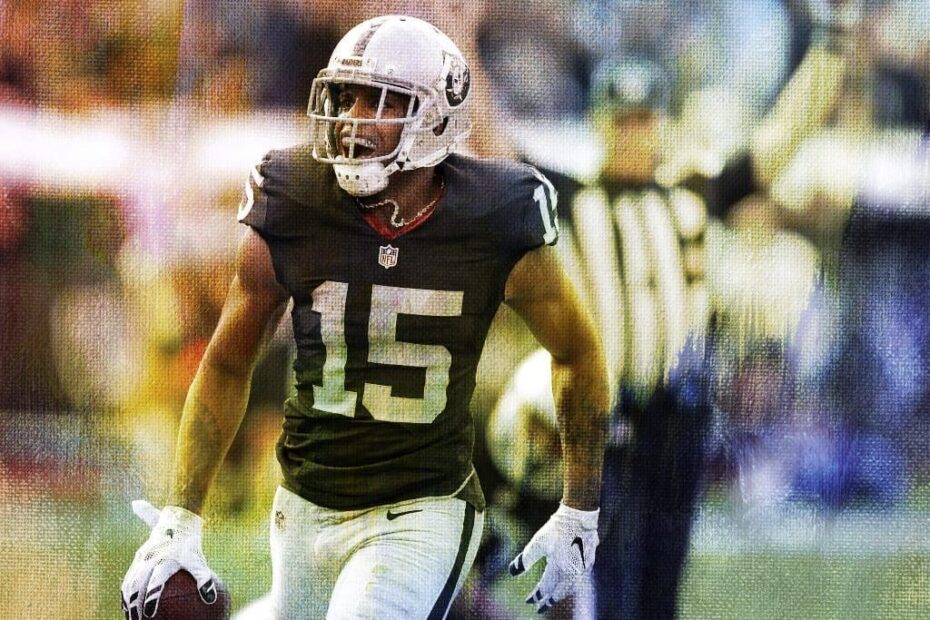 Michael Crabtree Stats