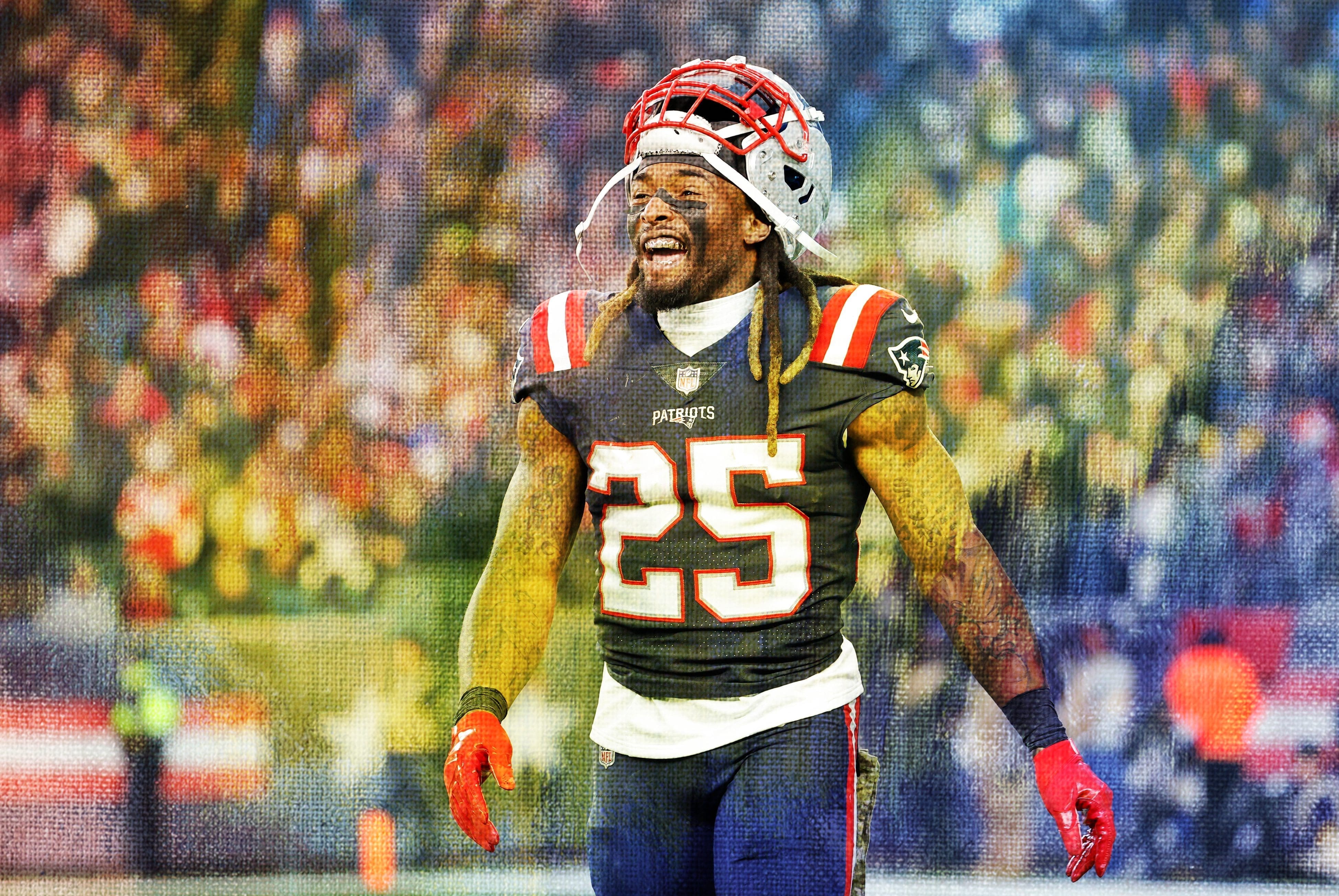 Brandon Bolden Stats