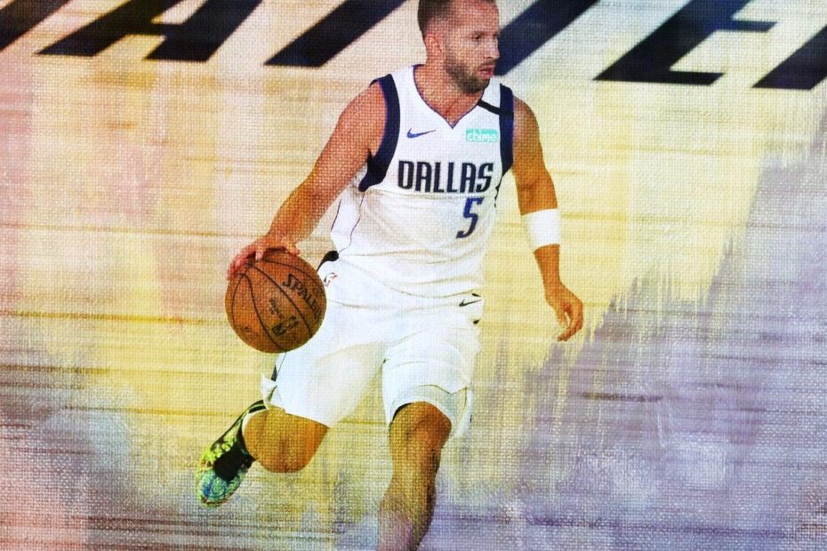 J.J. Barea Stats