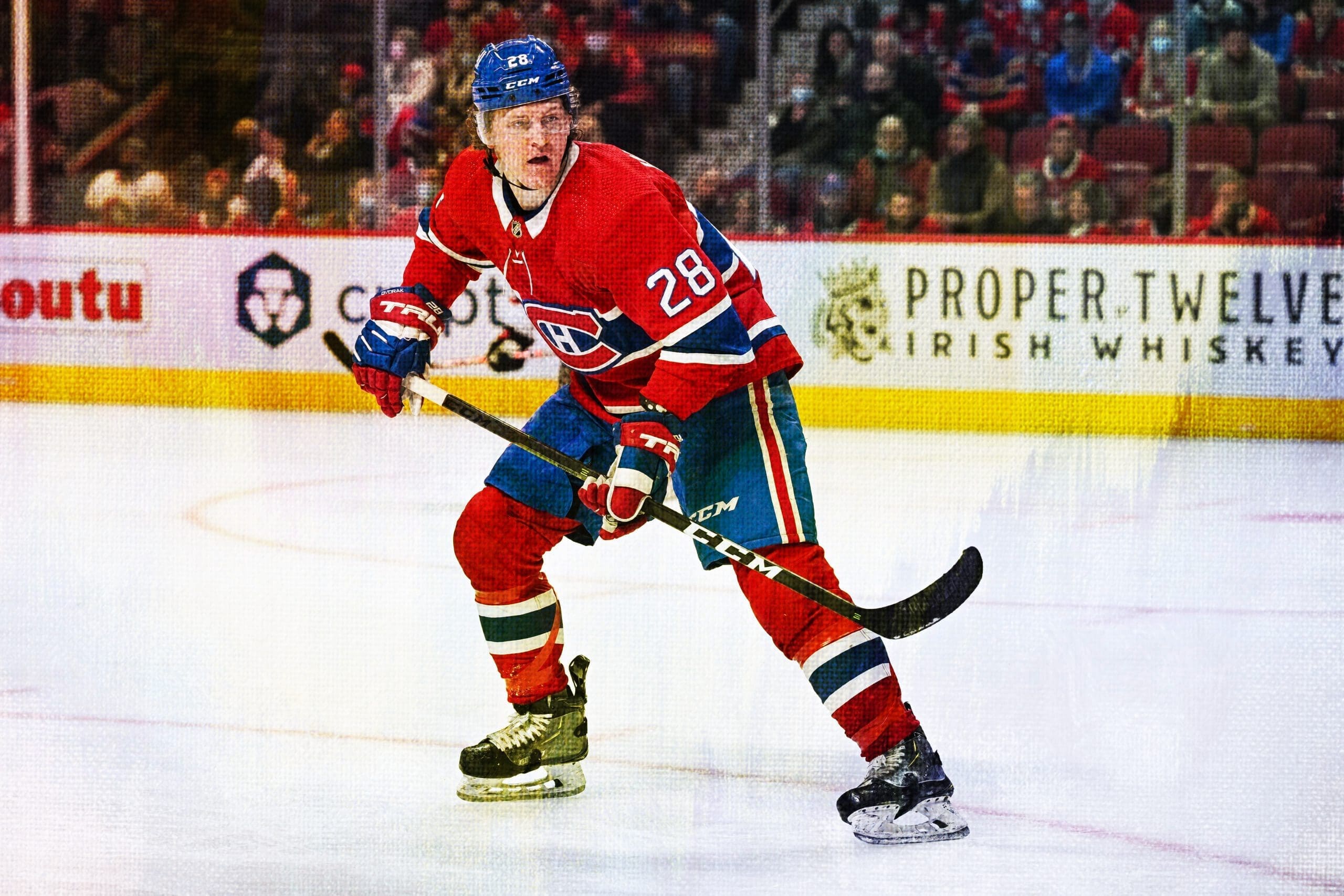 Christian Dvorak Stats