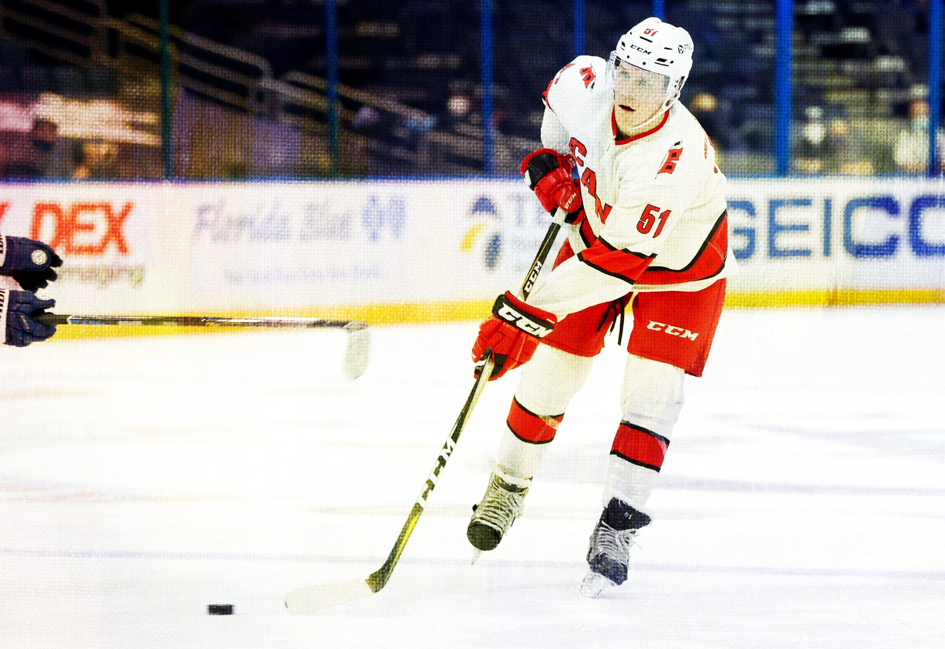 Jake Gardiner Stats