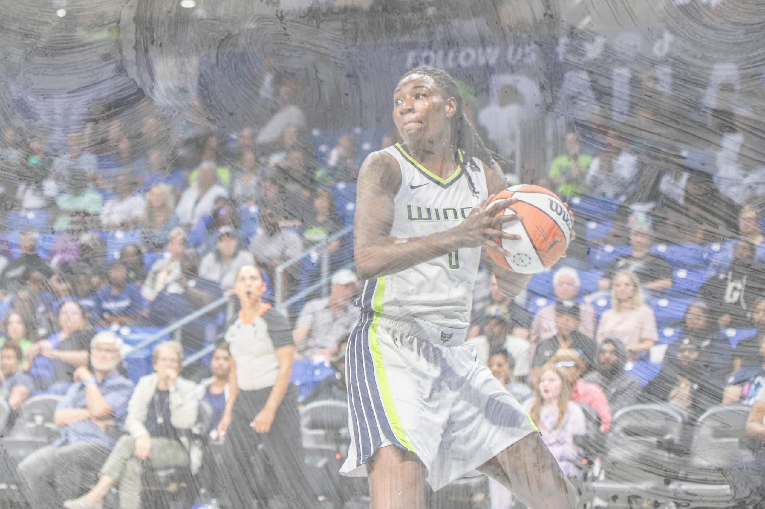 Natasha Howard Stats