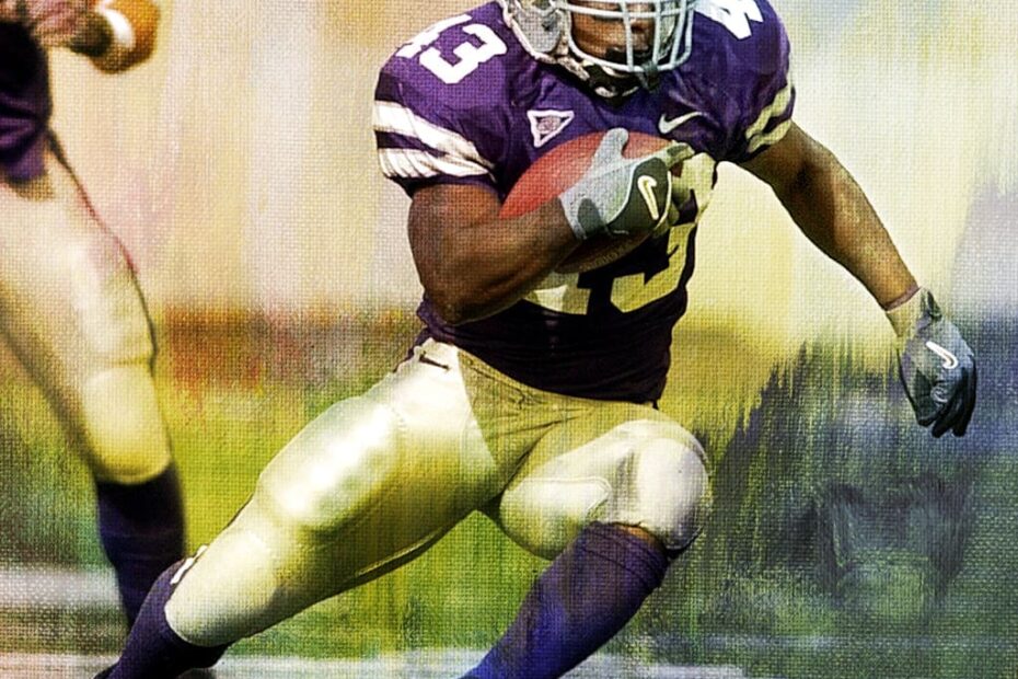 Darren Sproles College Stats