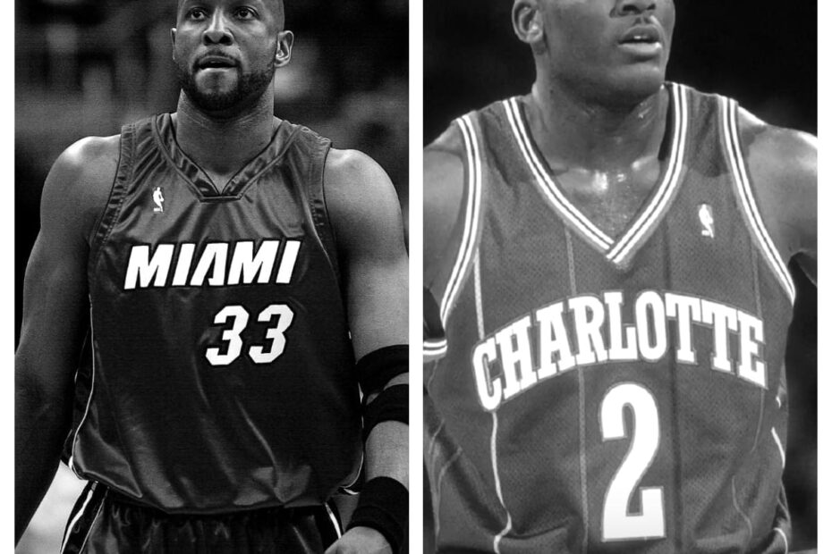 Alonzo Mourning vs Larry Johnson