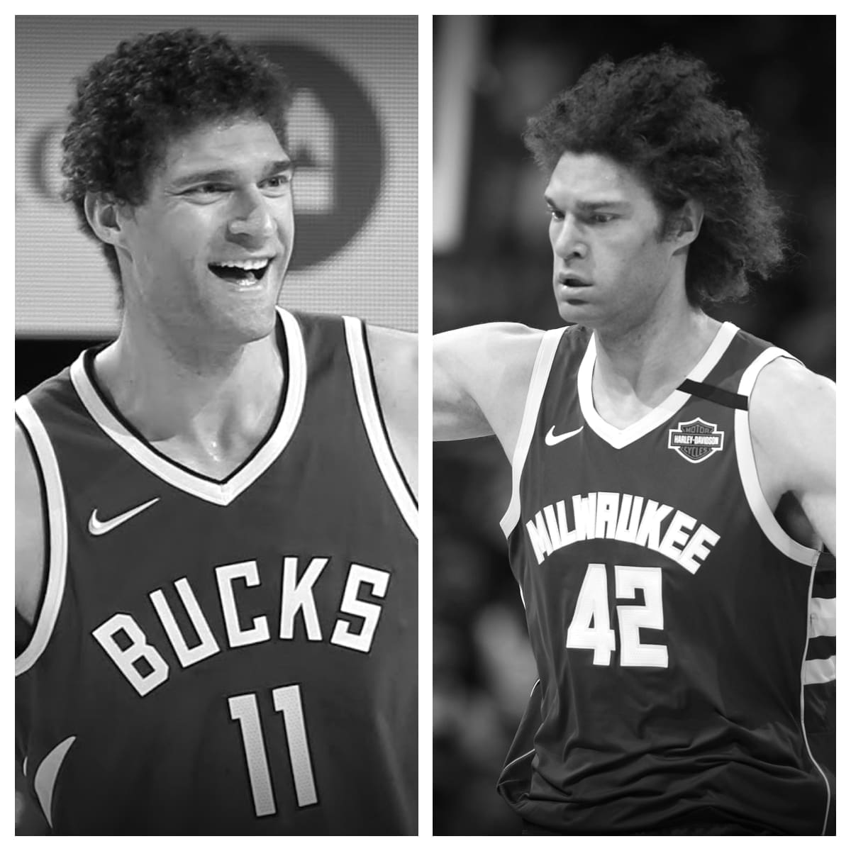 Brook Lopez vs Robin Lopez Stats Comparison | Career All Time Stats