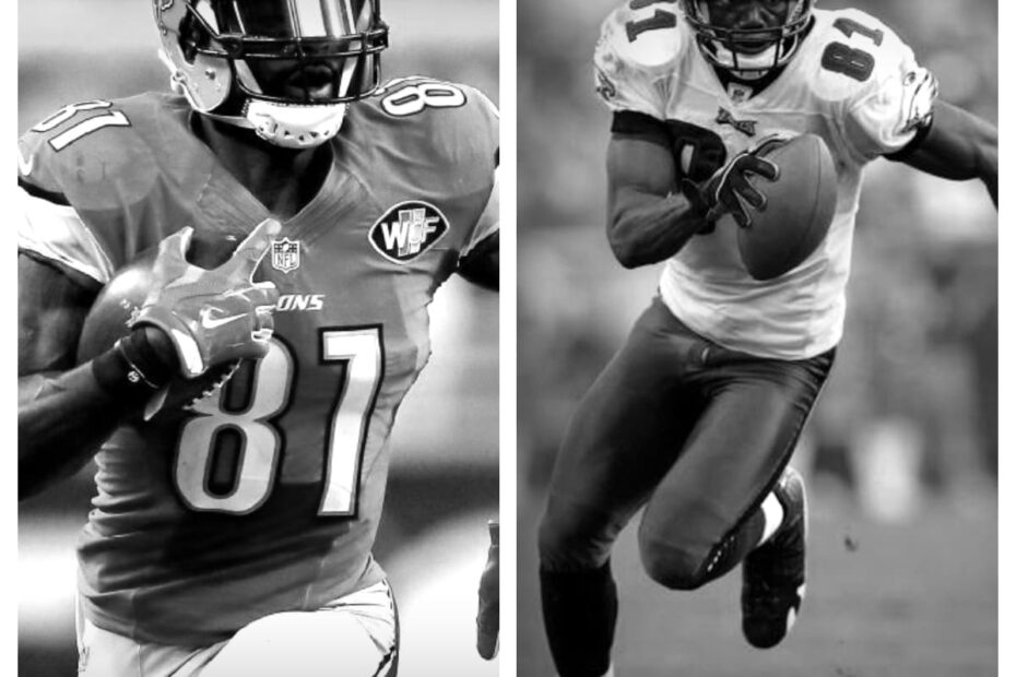 Calvin Johnson vs Terrell Owens