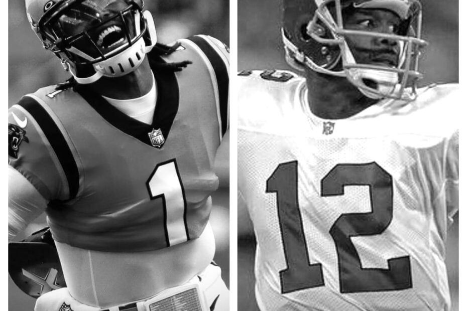 Cam Newton vs Randall Cunningham
