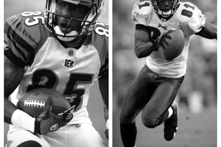 Chad Johnson vs Terrell Owens