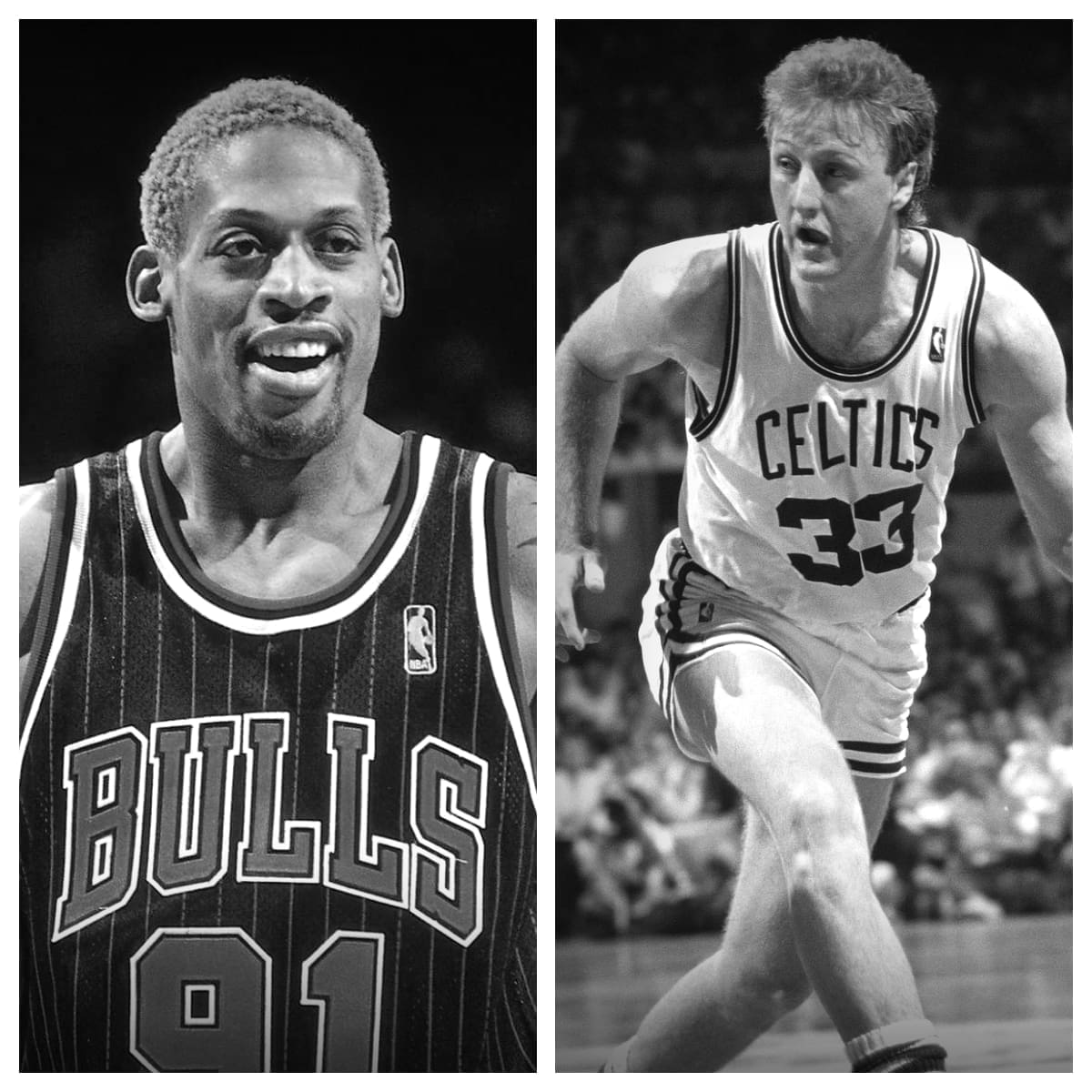 Dennis Rodman vs Larry Bird