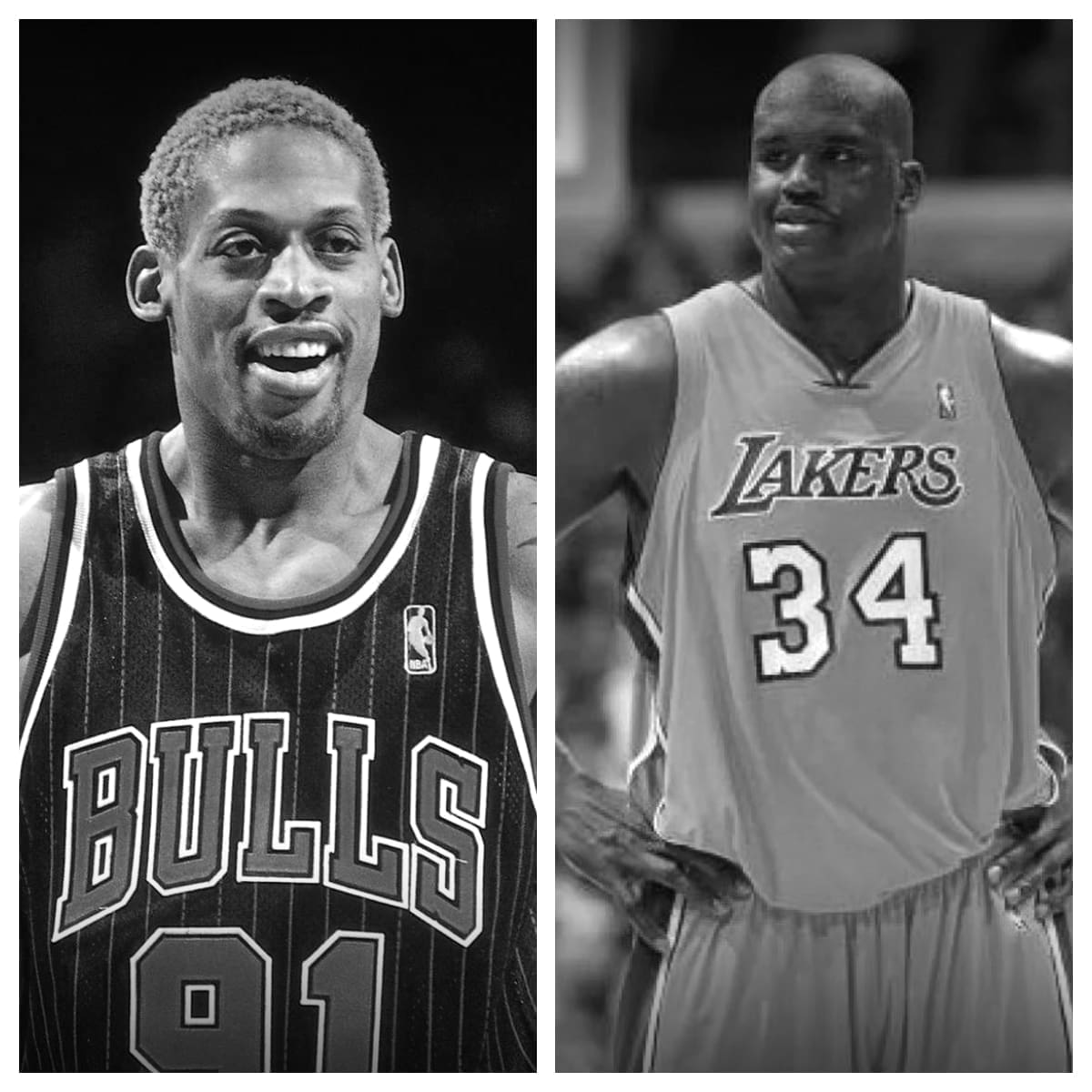 Dennis Rodman vs Shaquille O'Neal Stats Comparison Career All Time Stats