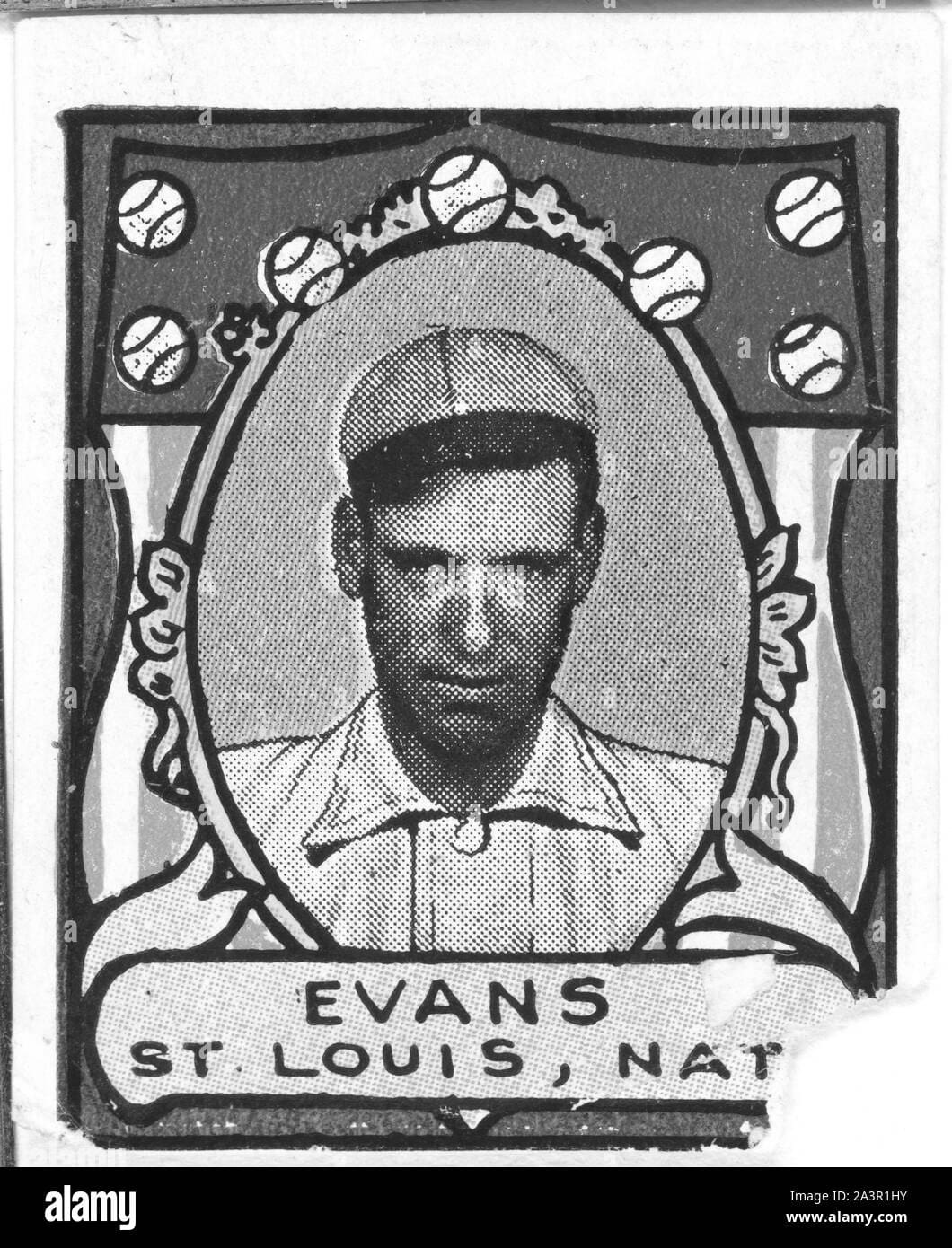 Steve Evans MLB