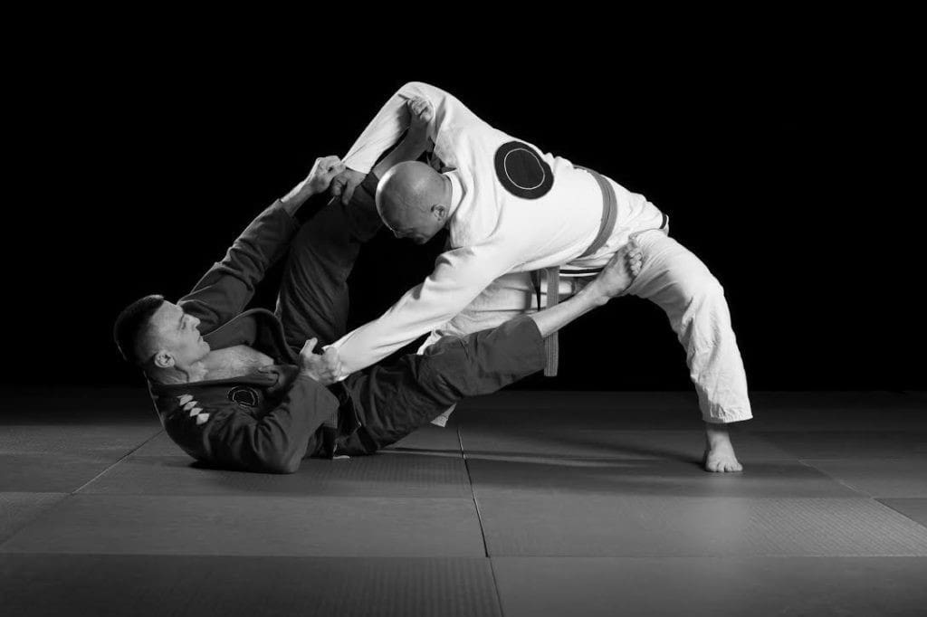BJJ Professionals 30