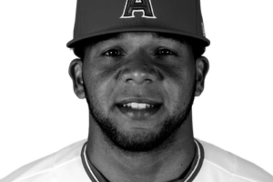 Cesar Puello MLB Baseball