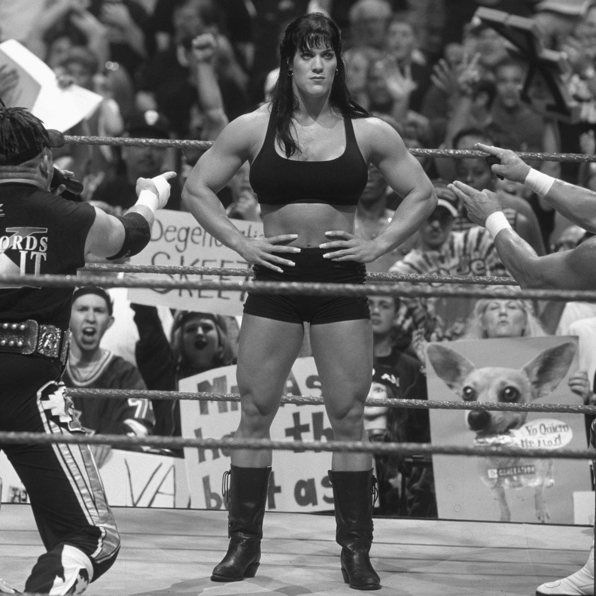 Is Professional Wrestling Fake 