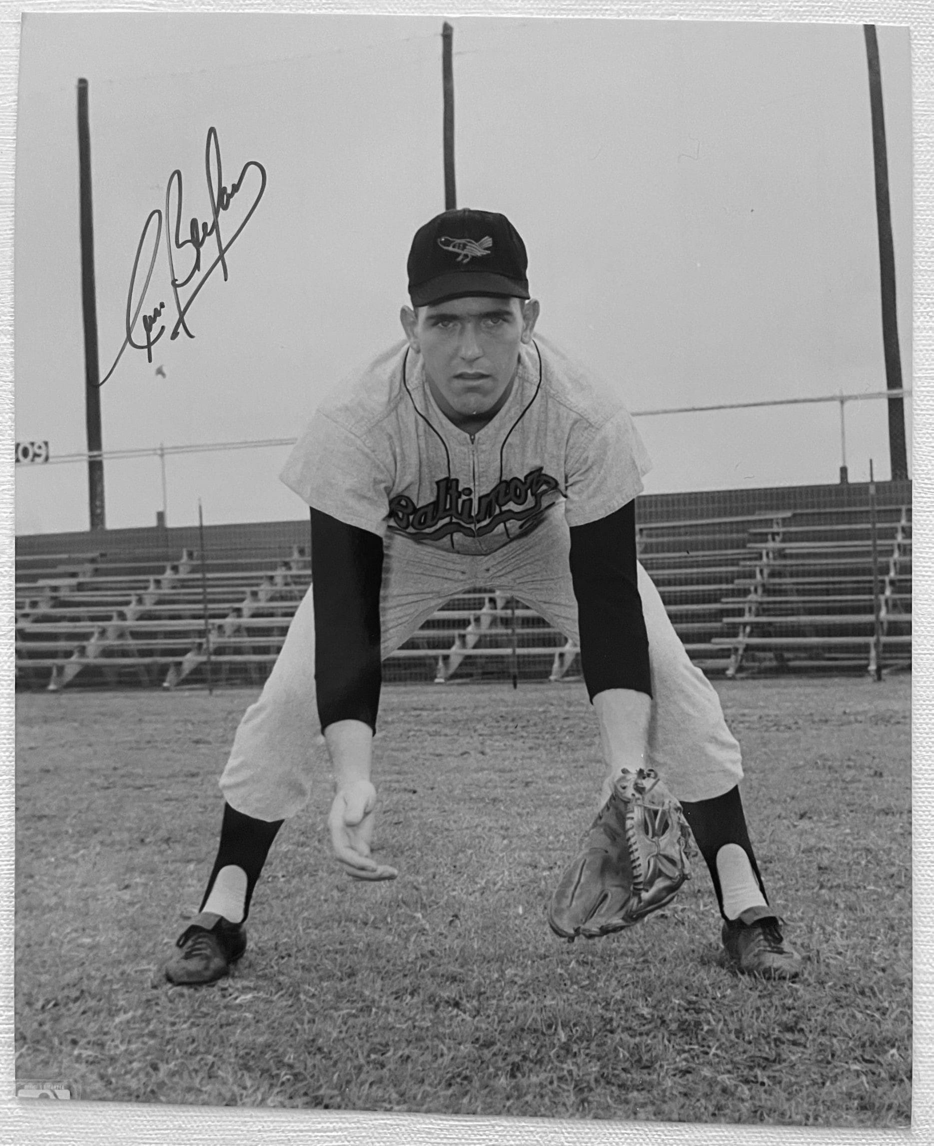Curt Blefary Stats