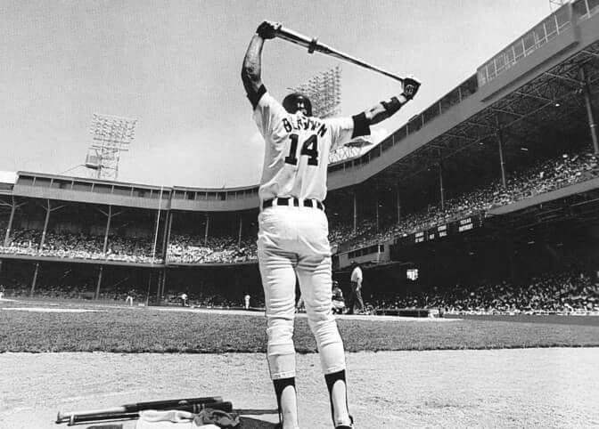 Dave Bergman MLB Baseball
