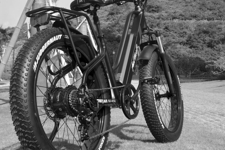 Electric Biking 56