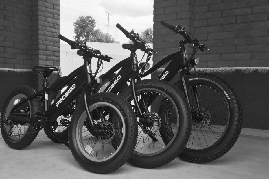 Electric Biking on Trail 15
