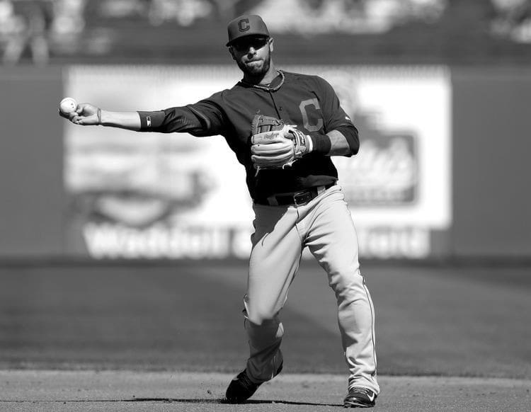 Elliot Johnson MLB Baseball