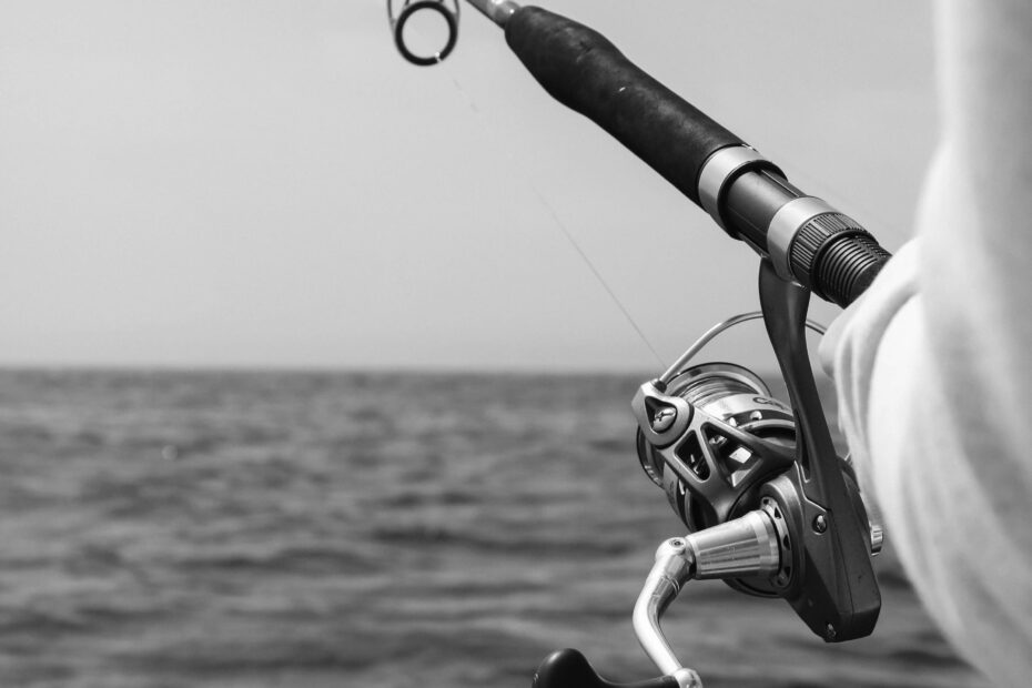Fishing 17