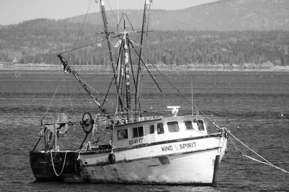 Fishing Boat (5)