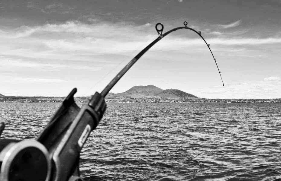 Fishing Poles 62