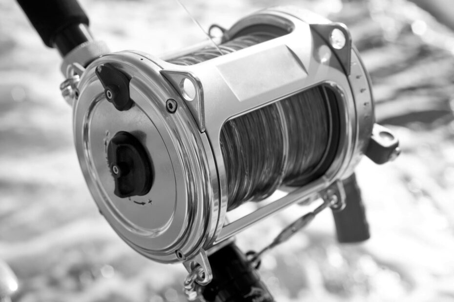 Fishing Reel