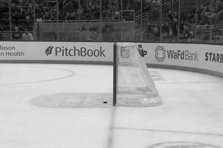 Hockey Empty Net
