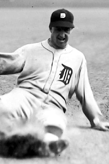 Jackie Tavener MLB Baseball