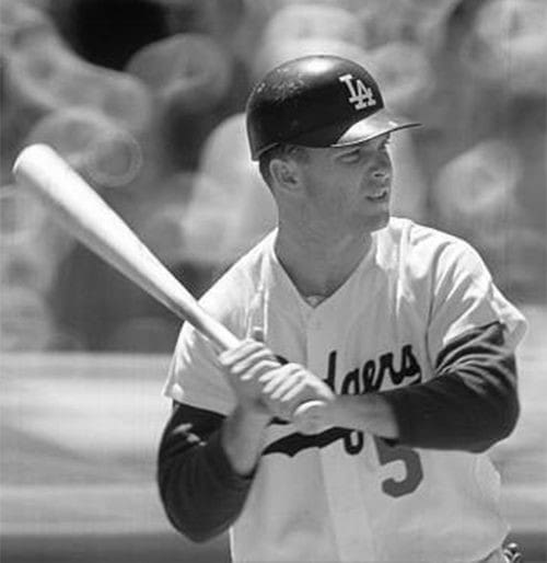 Jim Lefebvre Stats