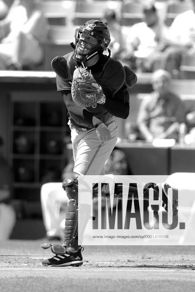 Josh Bard MLB Baseball