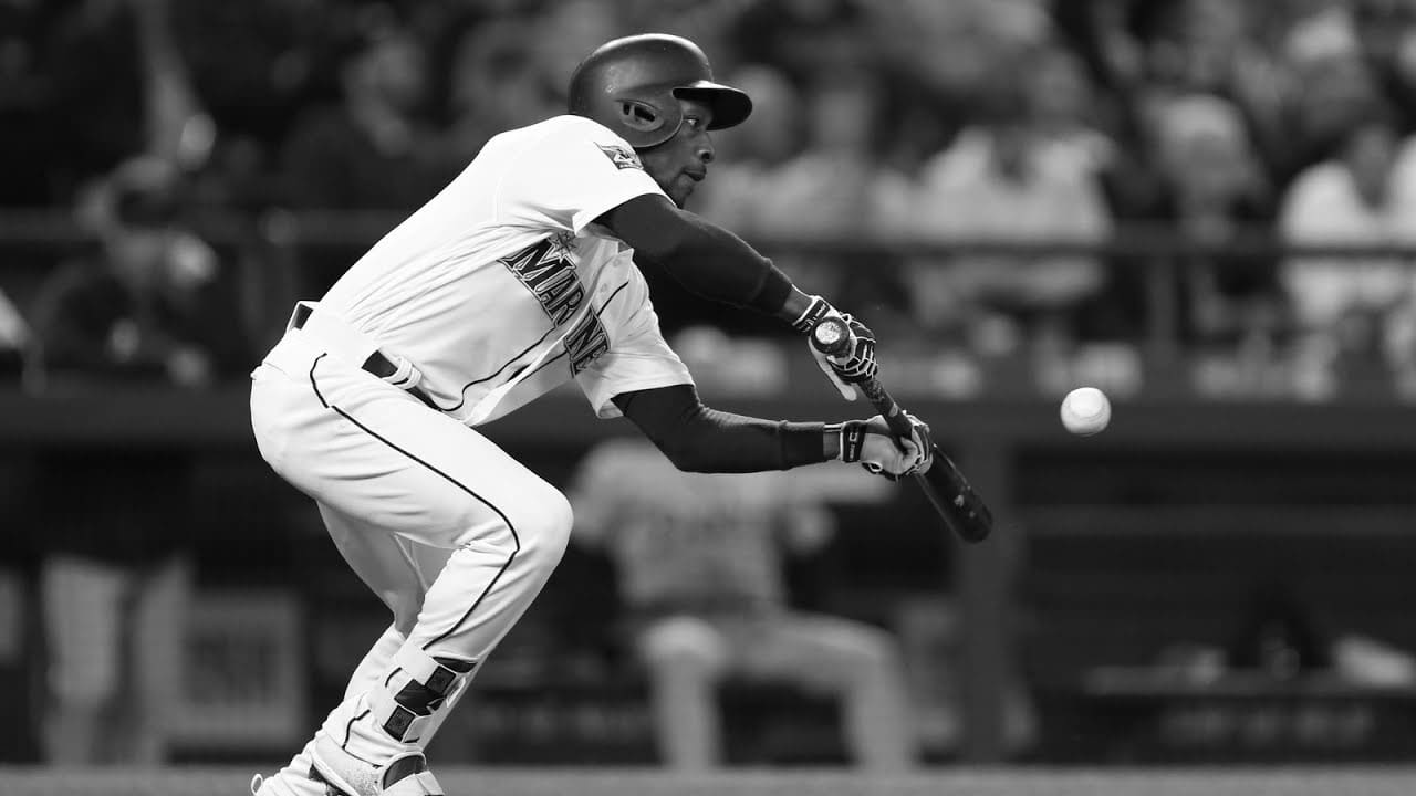 MLB Baseball Bunting 6