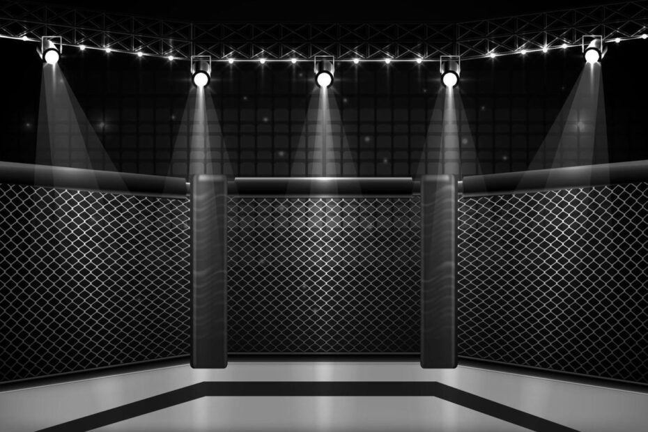 Mma Arena 38