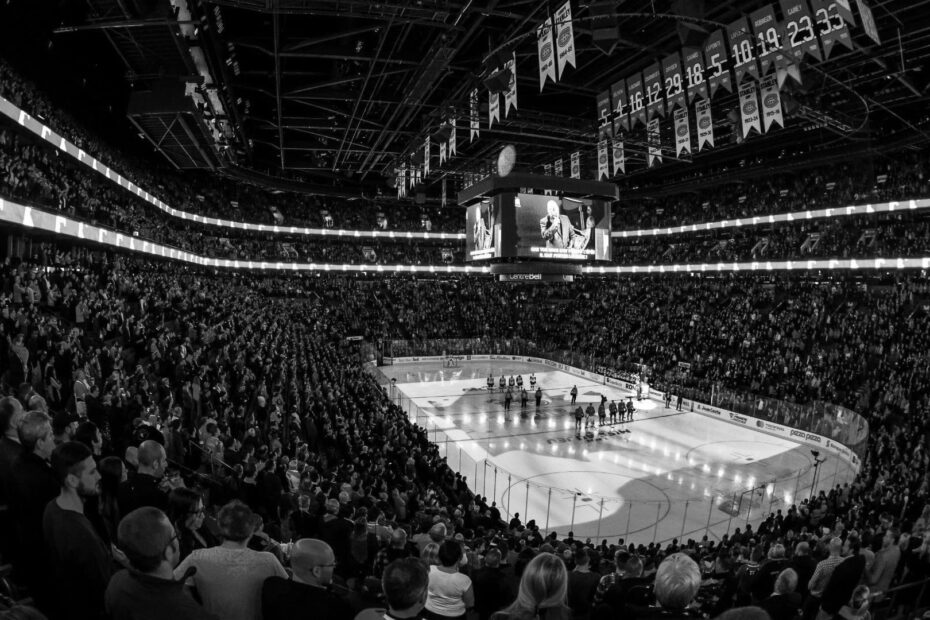NHL Arena 113