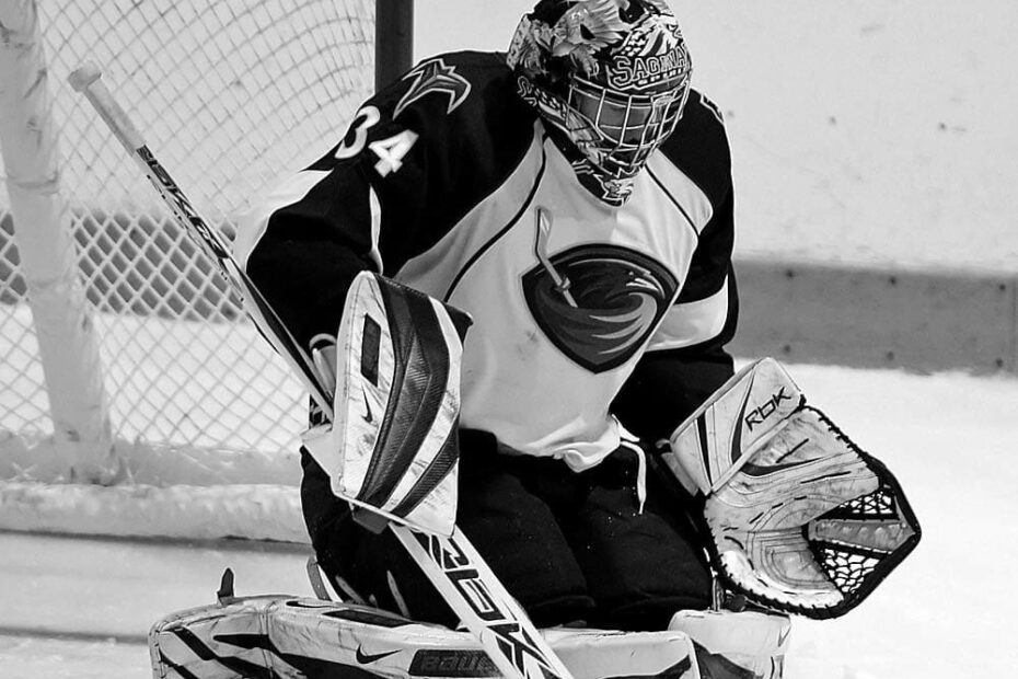 NHL Goalie 2