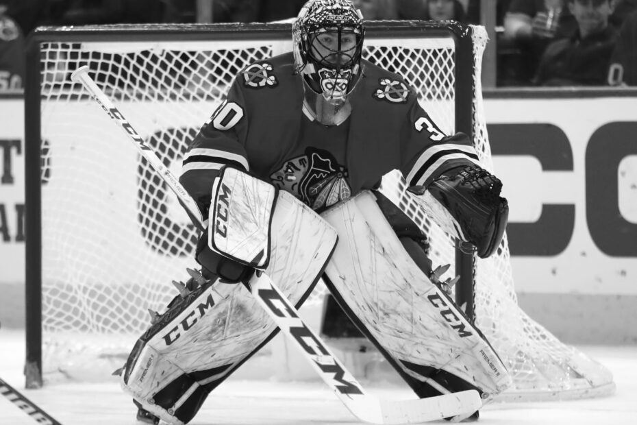 NHL Goalie 9