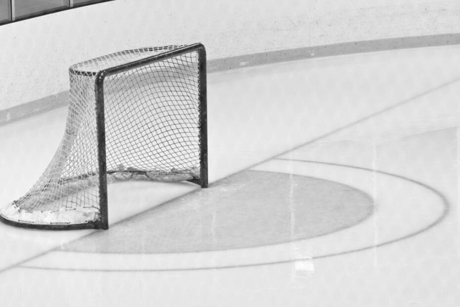 NHL Hockey Crease 131