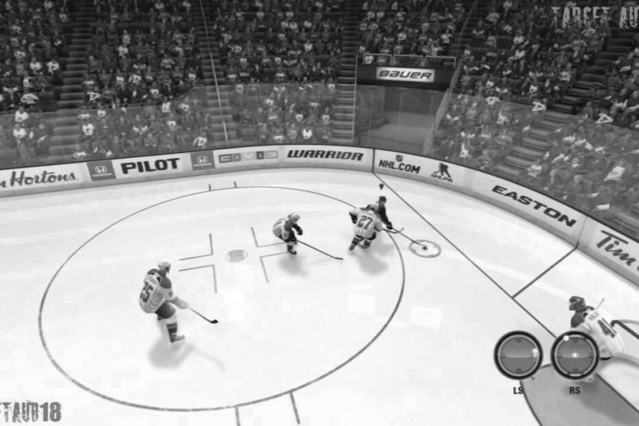 NHL Hockey Player Passing 5