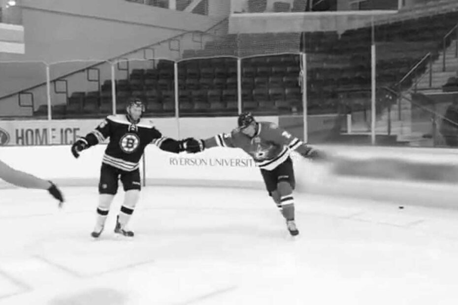 NHL Hockey Player Skating