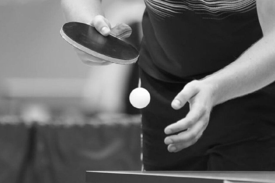 Pro Table Tennis Ping Pong 122