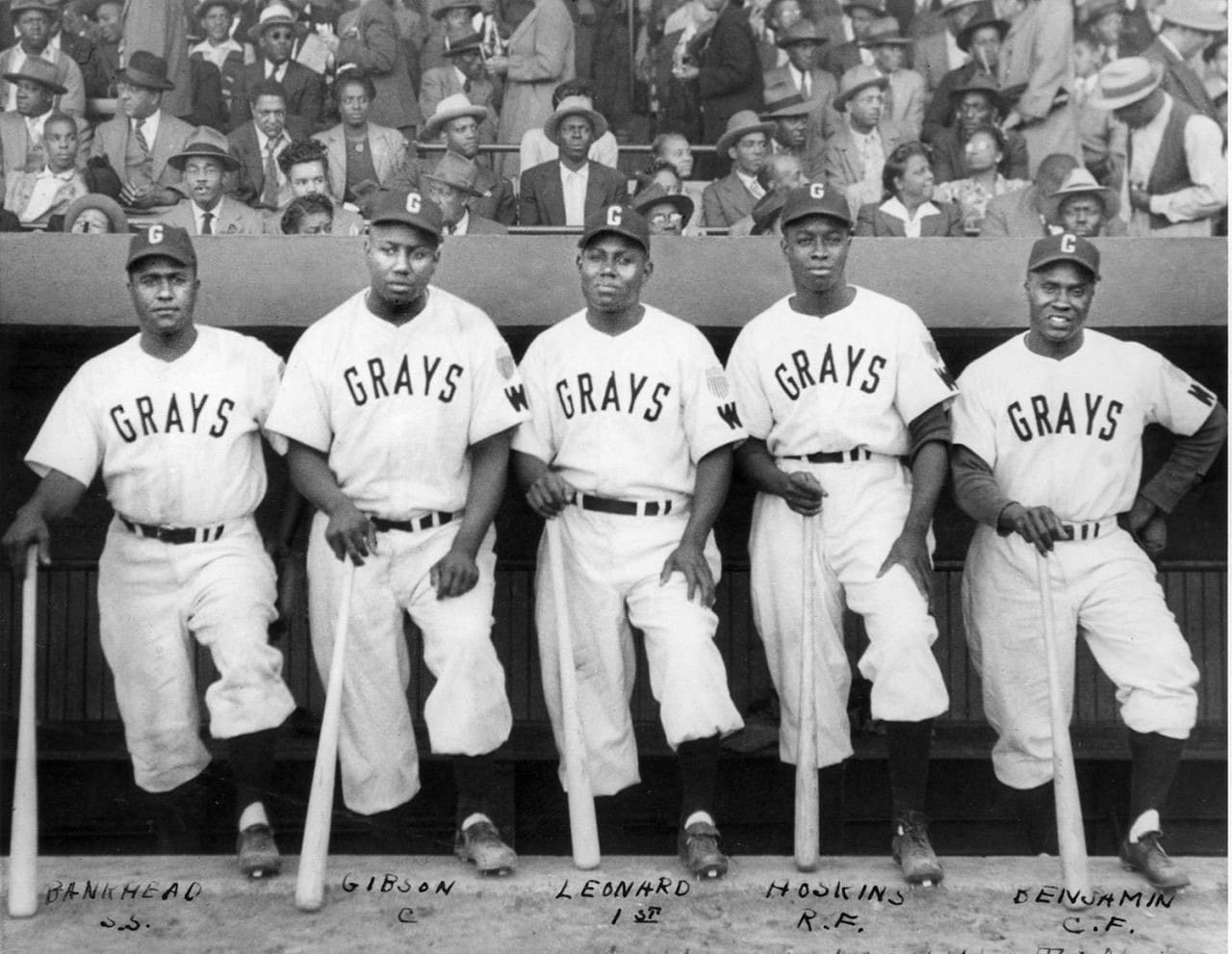 Sam Bankhead MLB Baseball